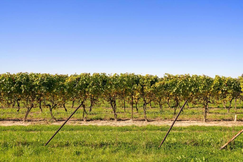 Villa Waterfront Niagara-On-The-Lake Farmhouse On A Vineyard Exterior foto