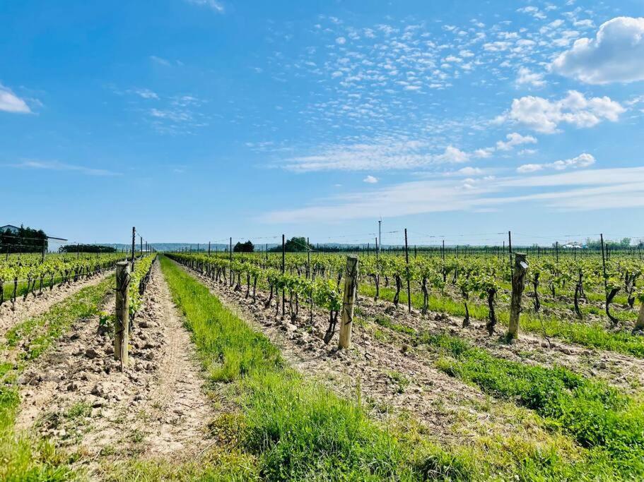 Villa Waterfront Niagara-On-The-Lake Farmhouse On A Vineyard Exterior foto